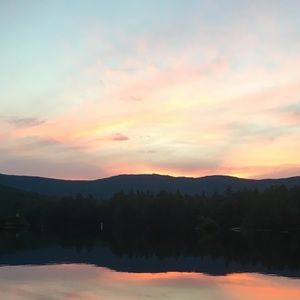 Meet your Posher, Carter